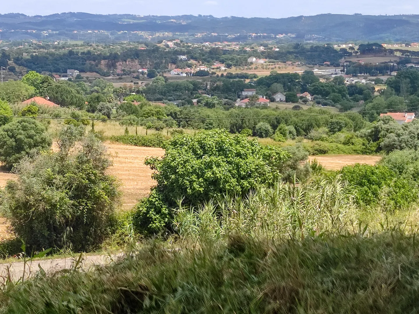 Terreno