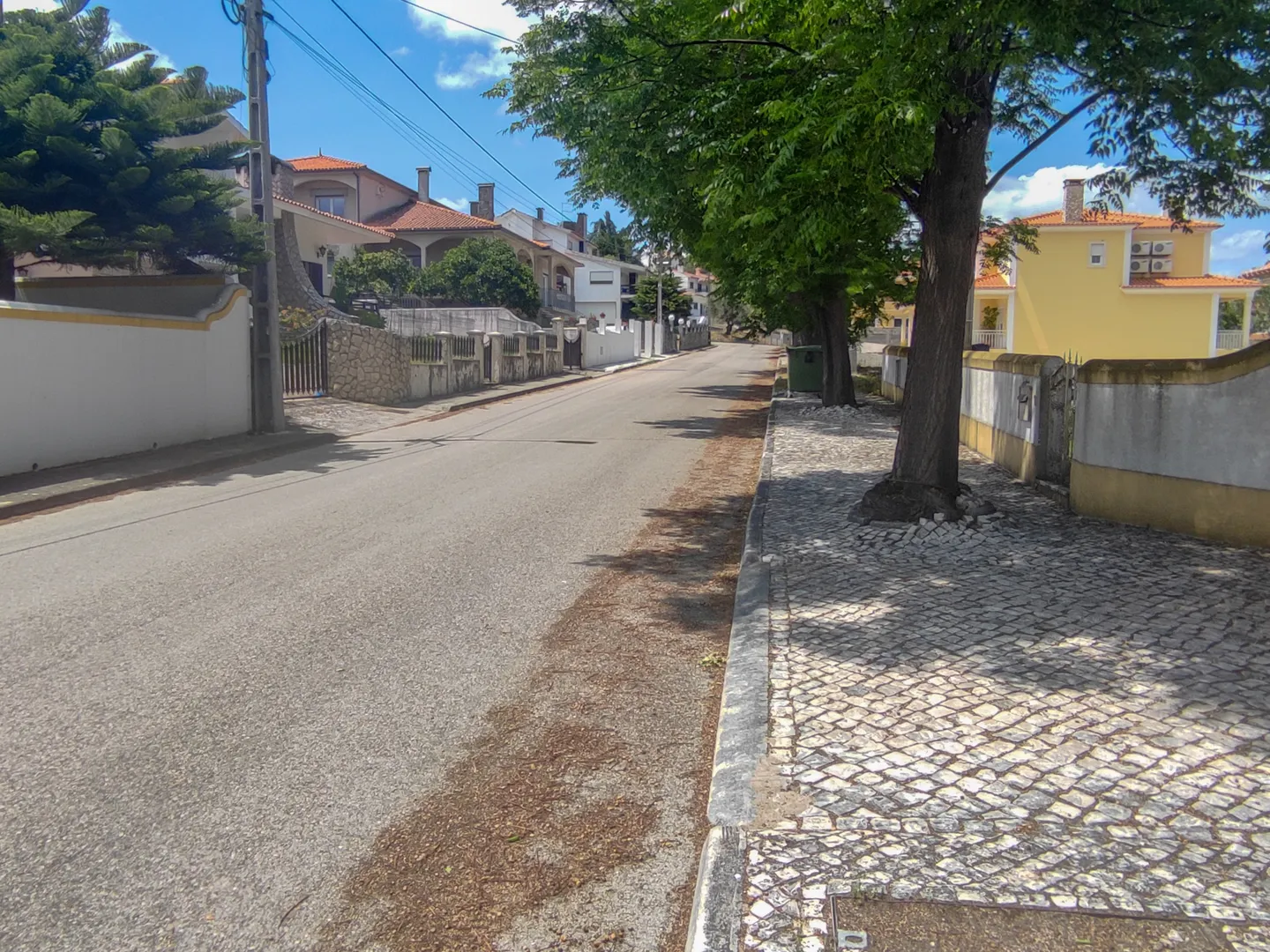 Terreno