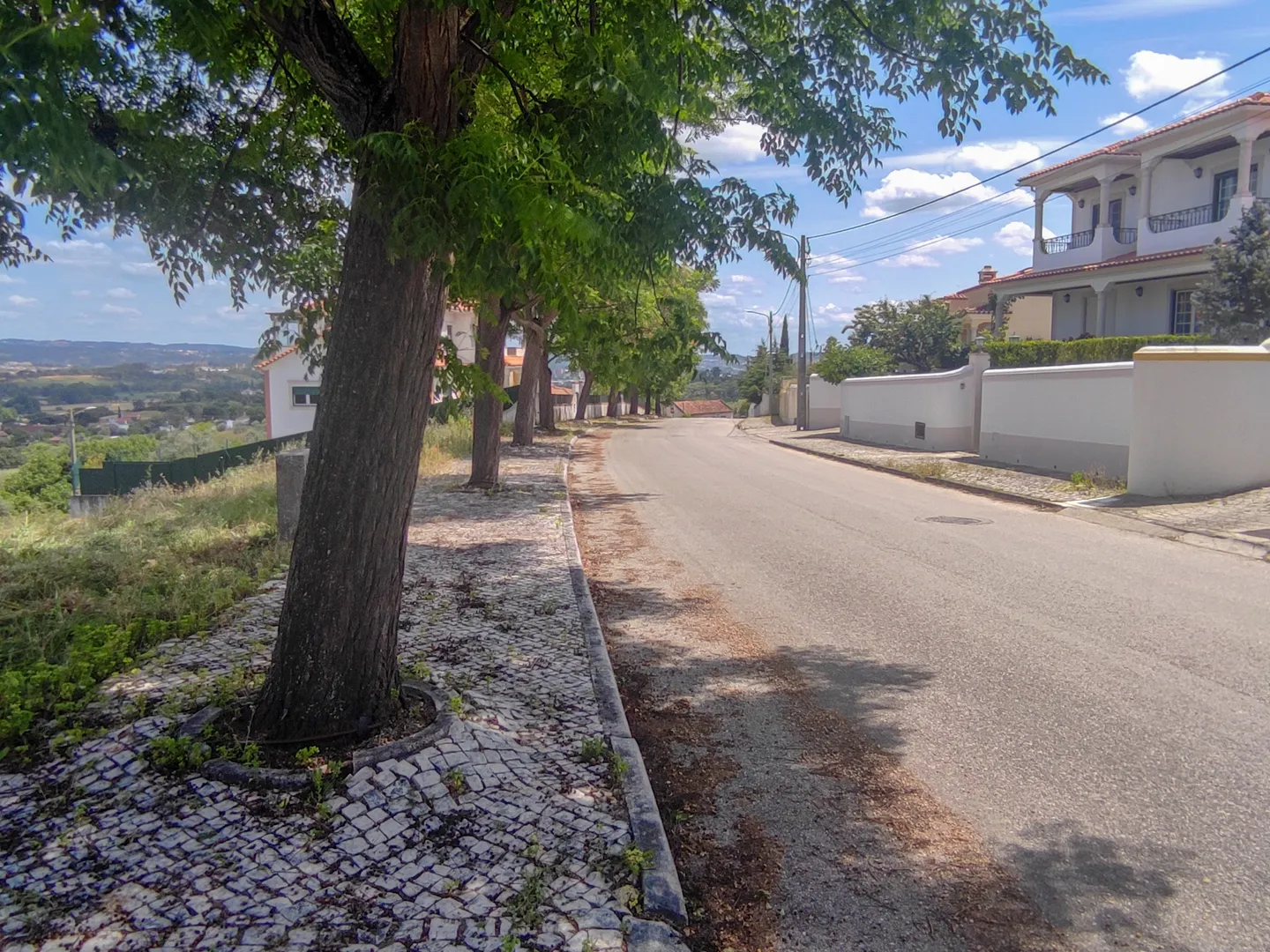 Terreno