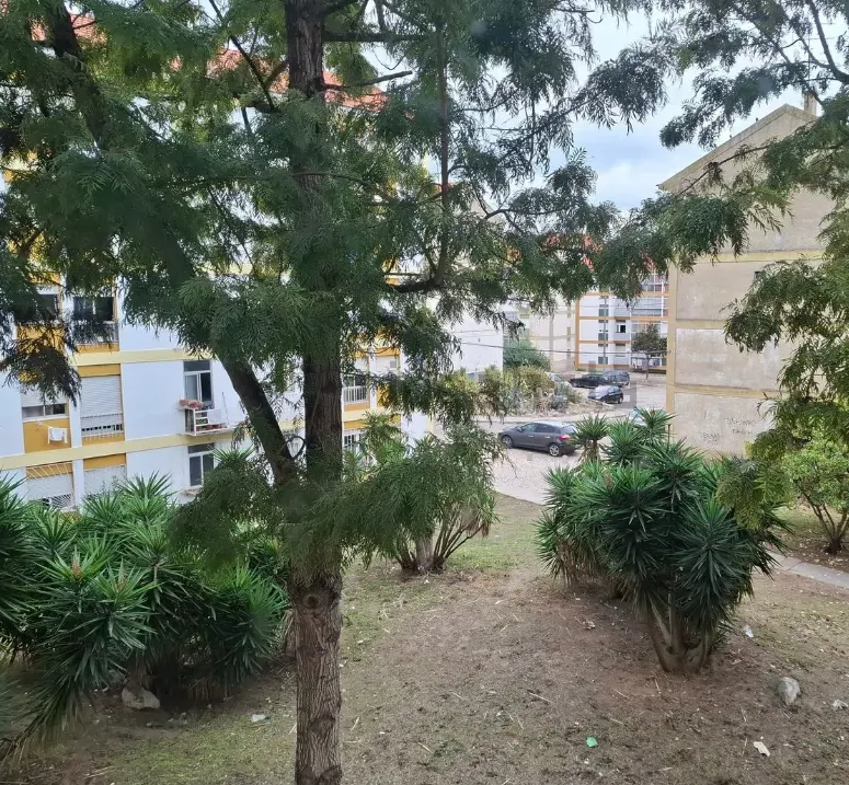 Apartamento T3