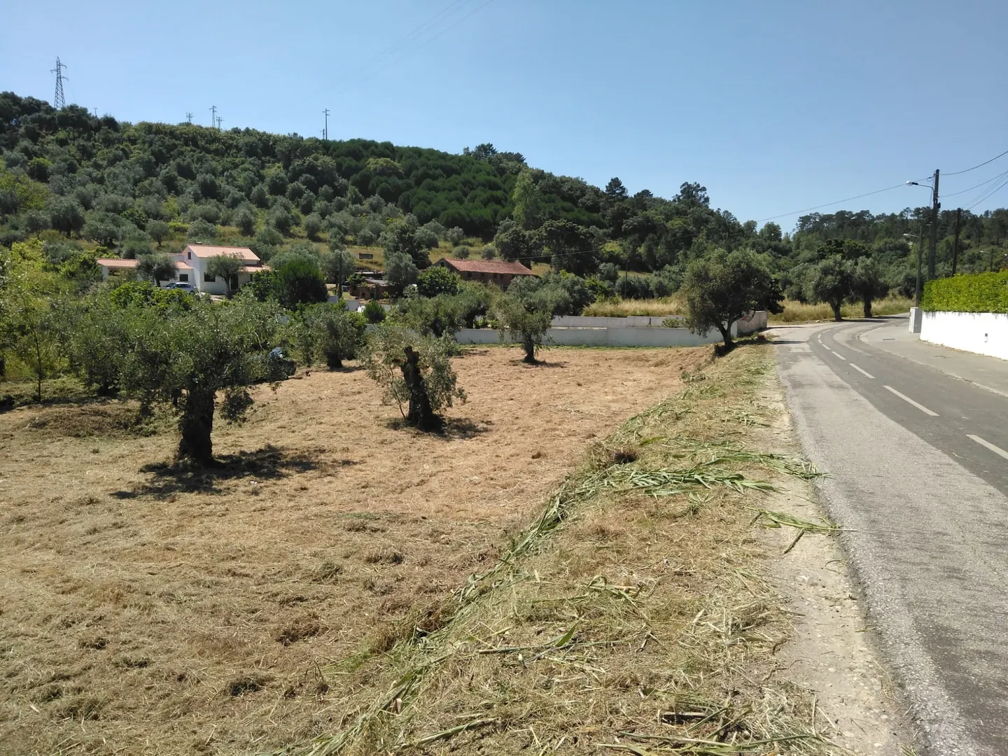 Terreno