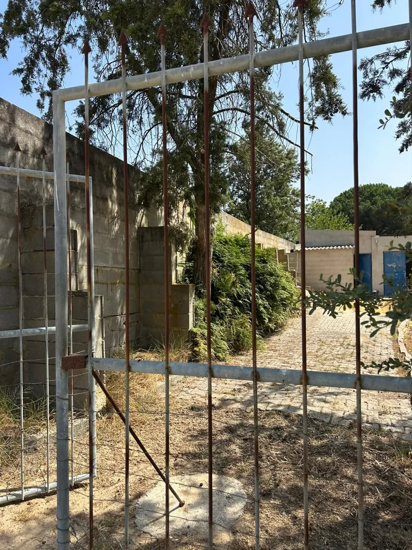 Terreno