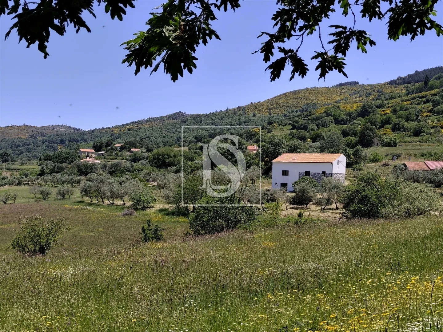 Moradia Isolada T4