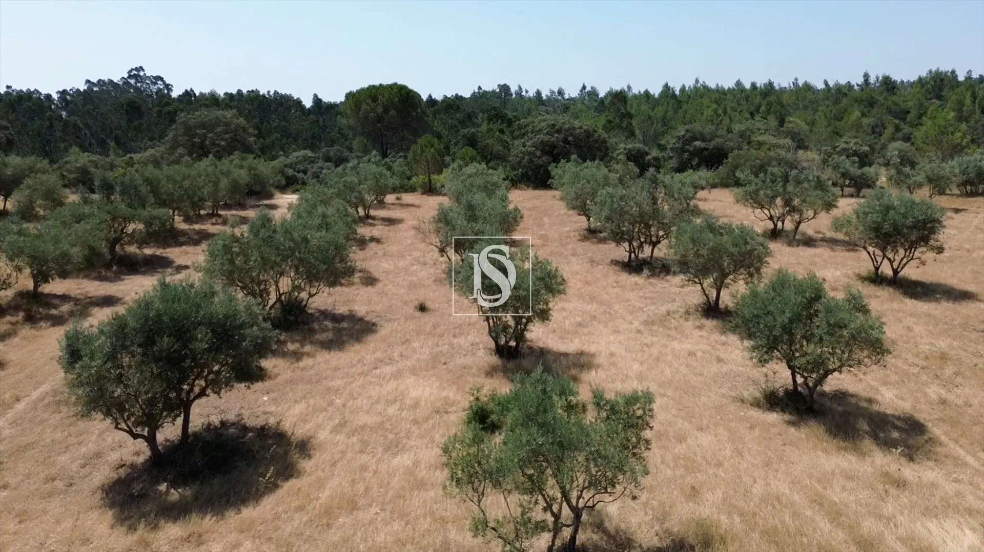 Real estate land