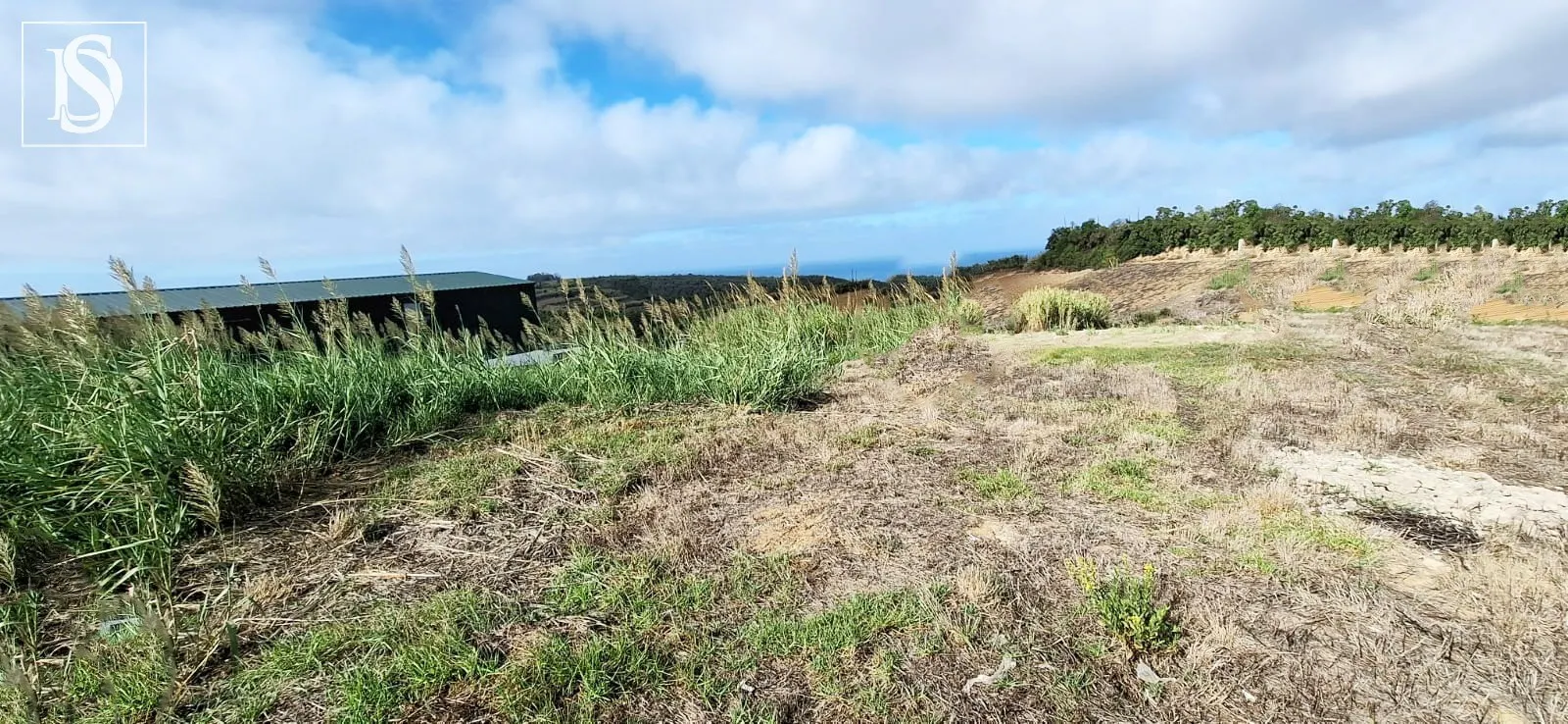 TERRENO URBANO COM VISTA MAR | ATALAIA, LOURINHÃ