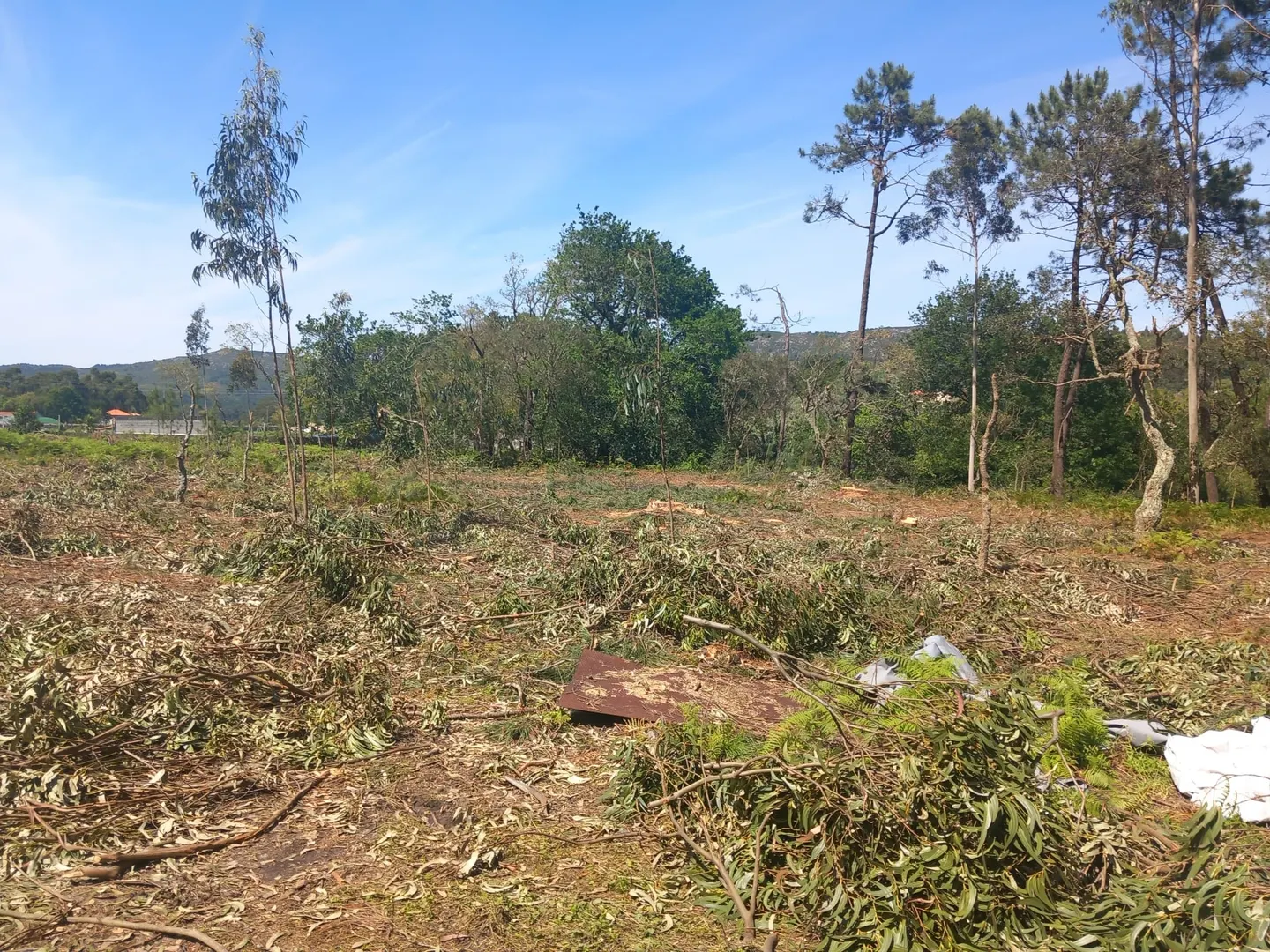 Terreno