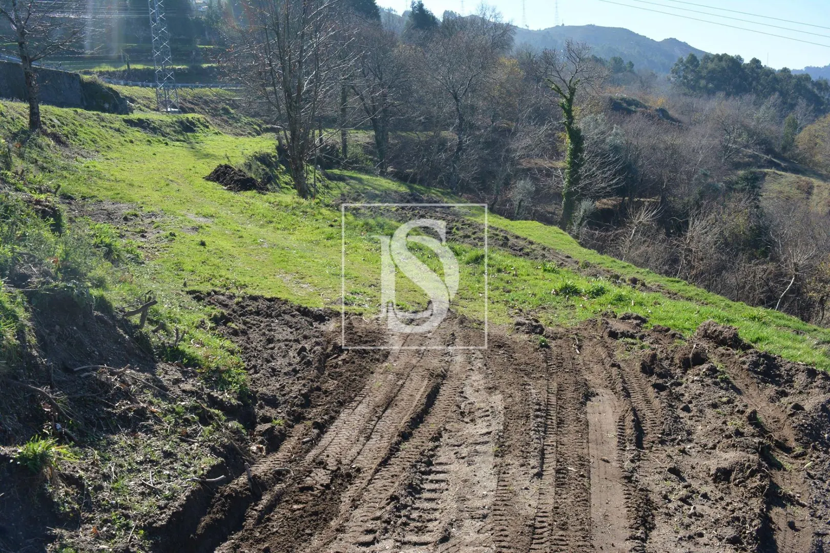 Terreno