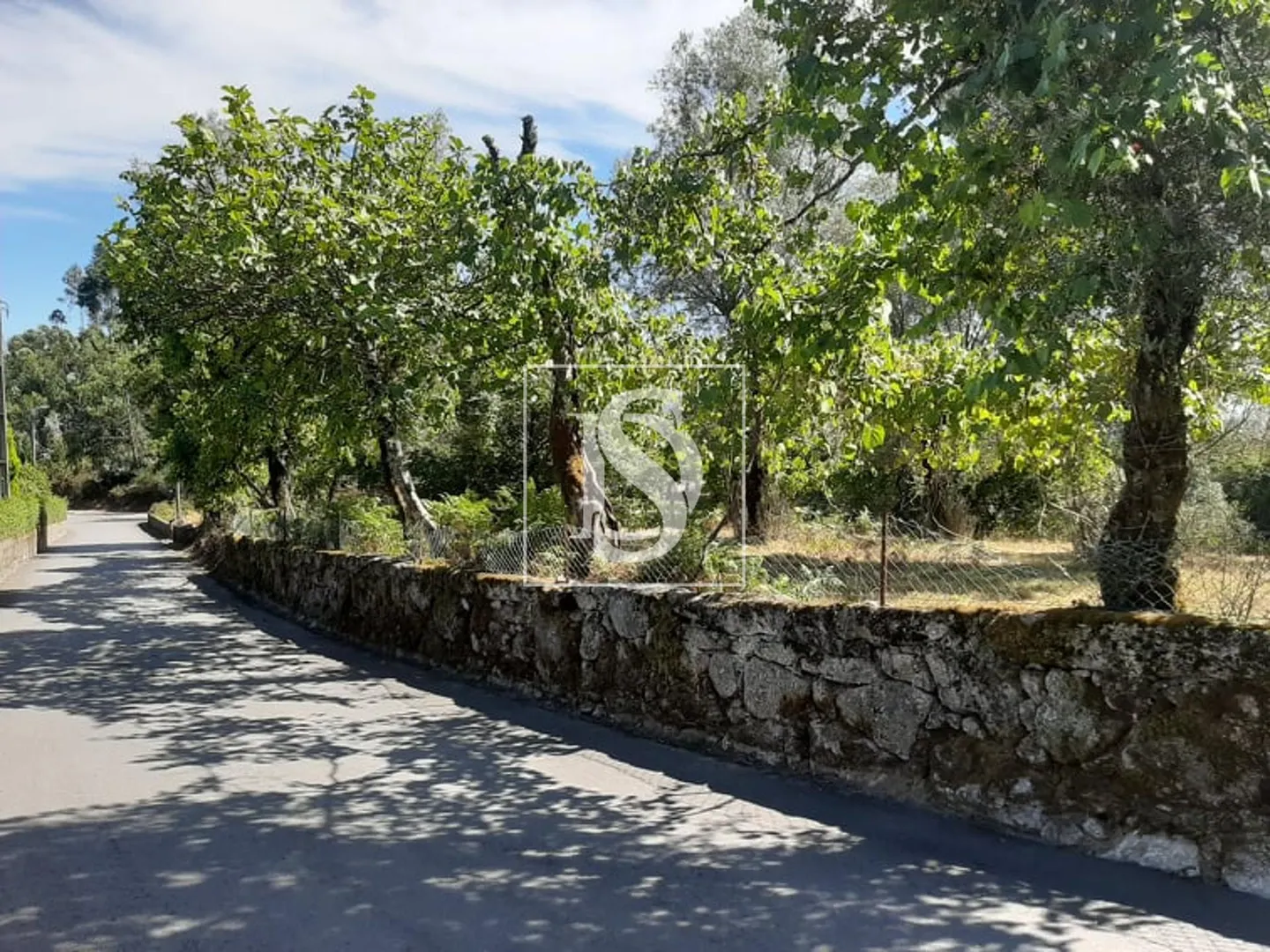 Terreno