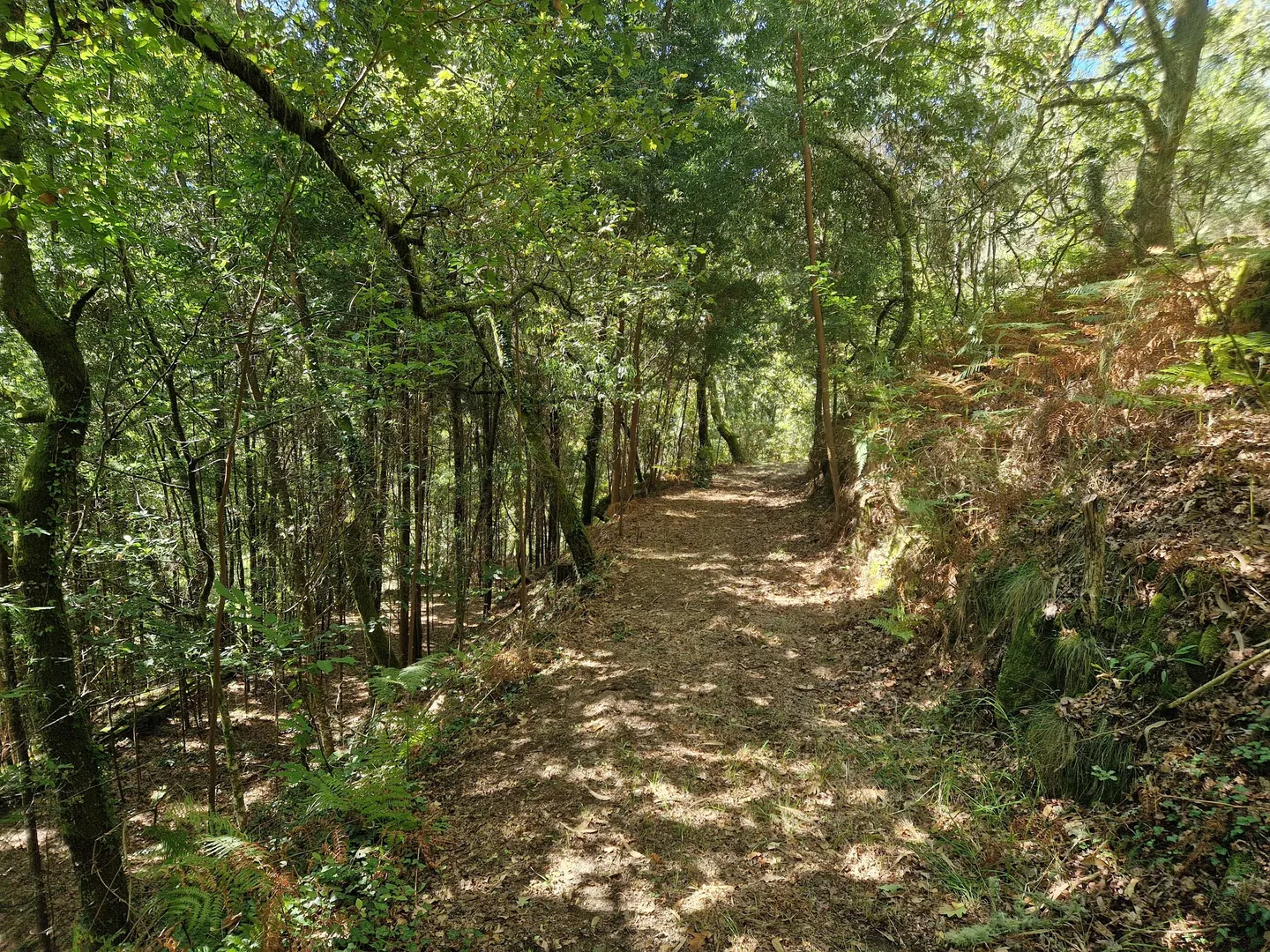 Terreno
