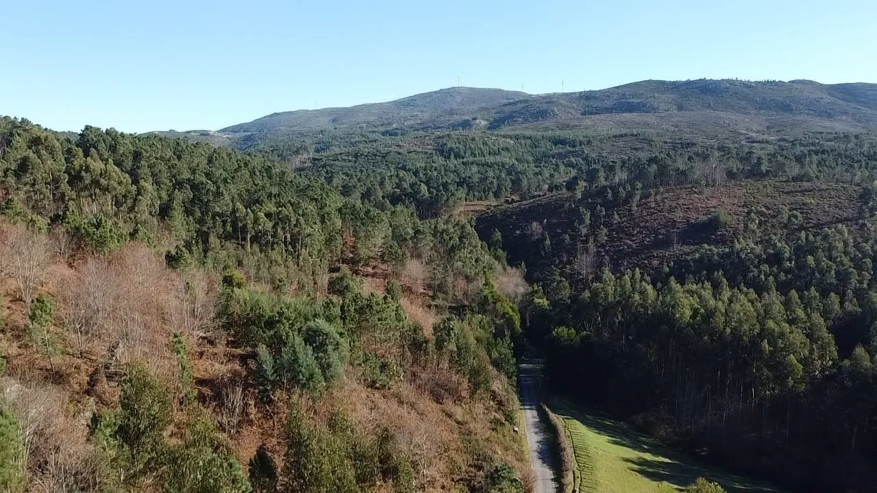 Terreno