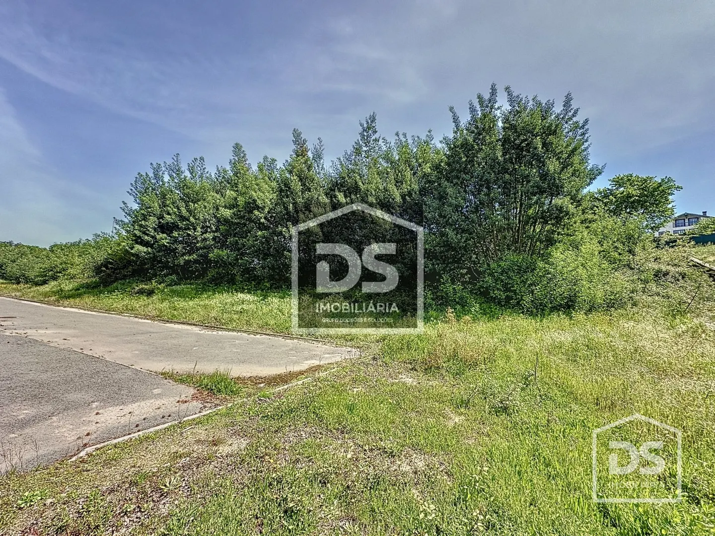 Real Estate building