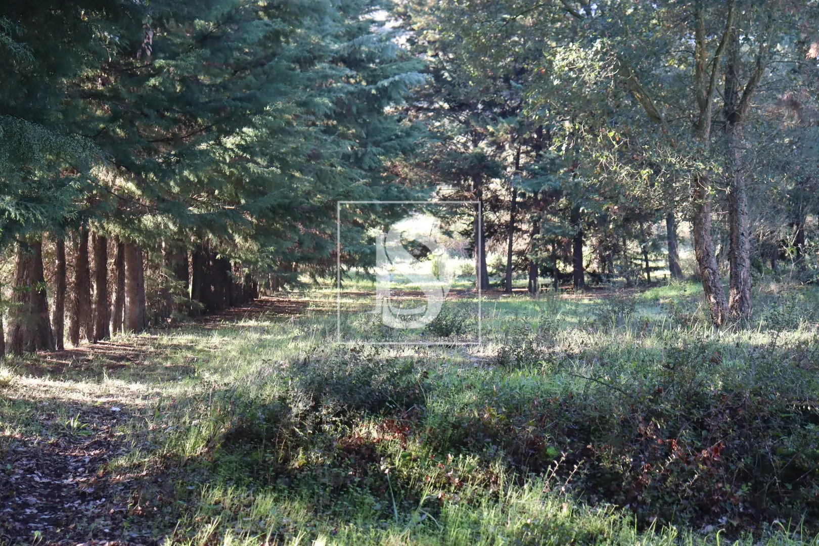 Terreno