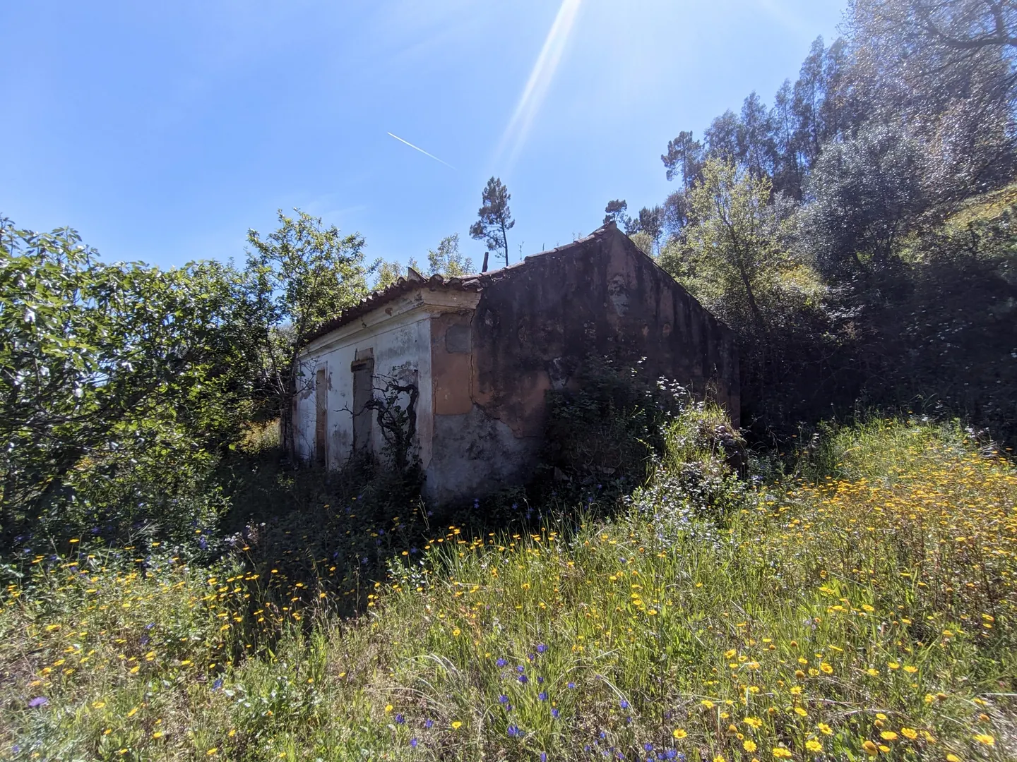 Moradia Devoluta