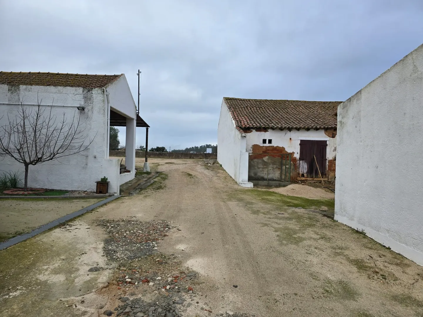 Quinta T3