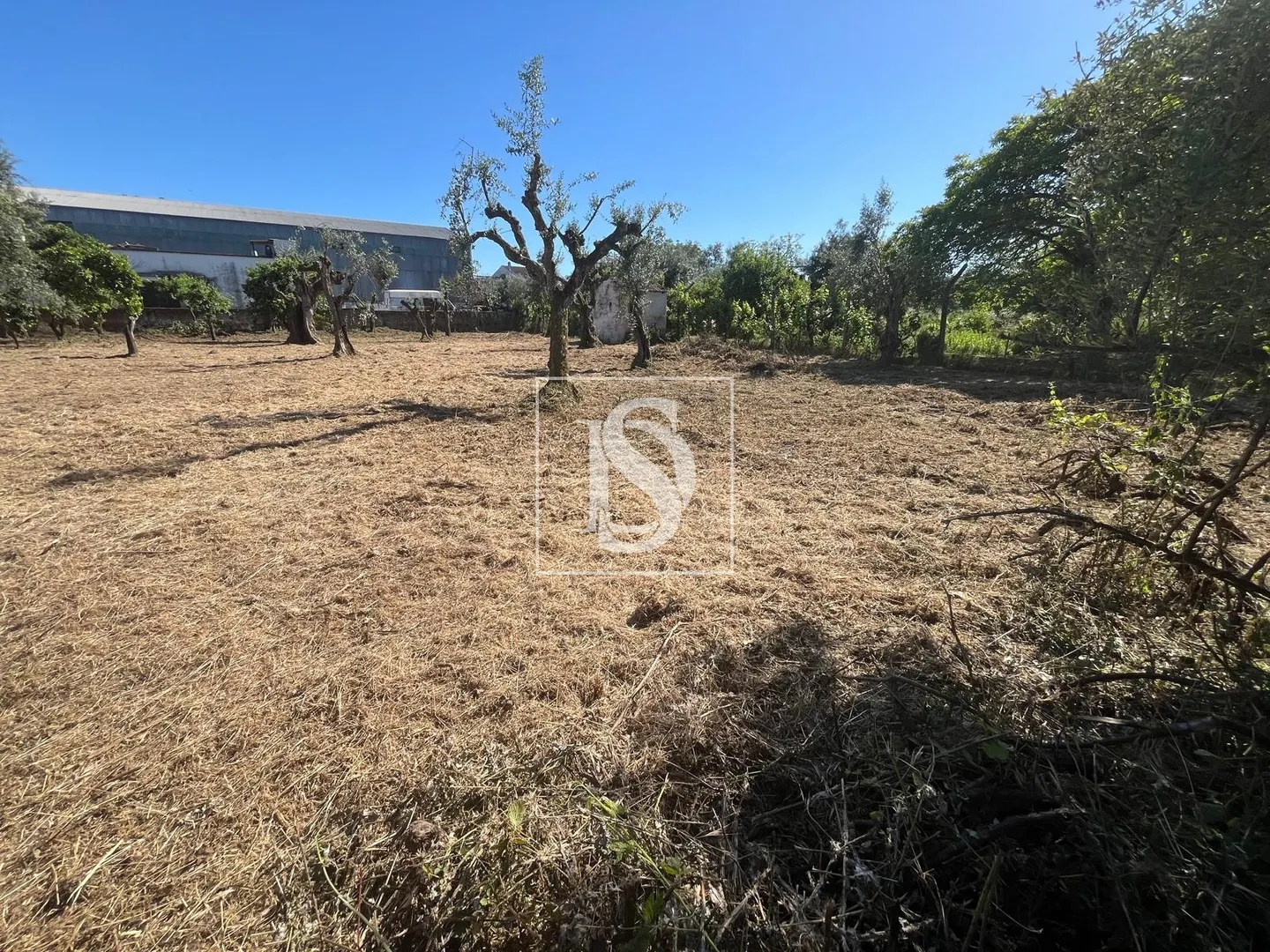 Terreno Urbano - Rossio ao Sul do Tejo - Abrantes