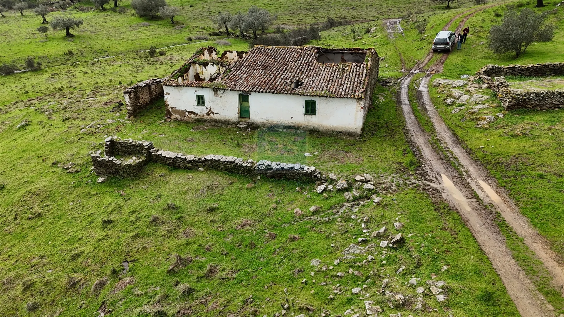 Mixed Real Estate T4