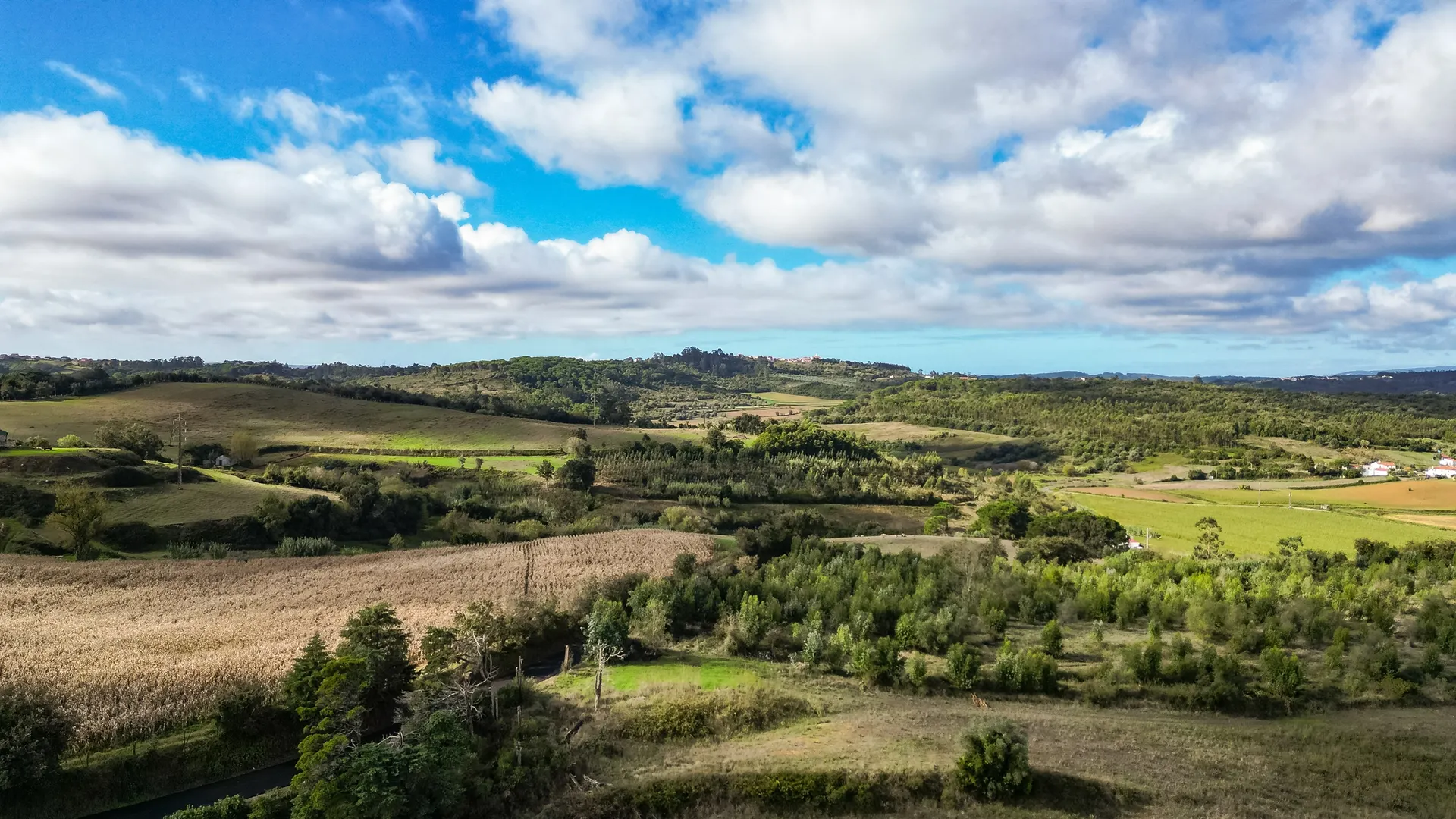 Terreno