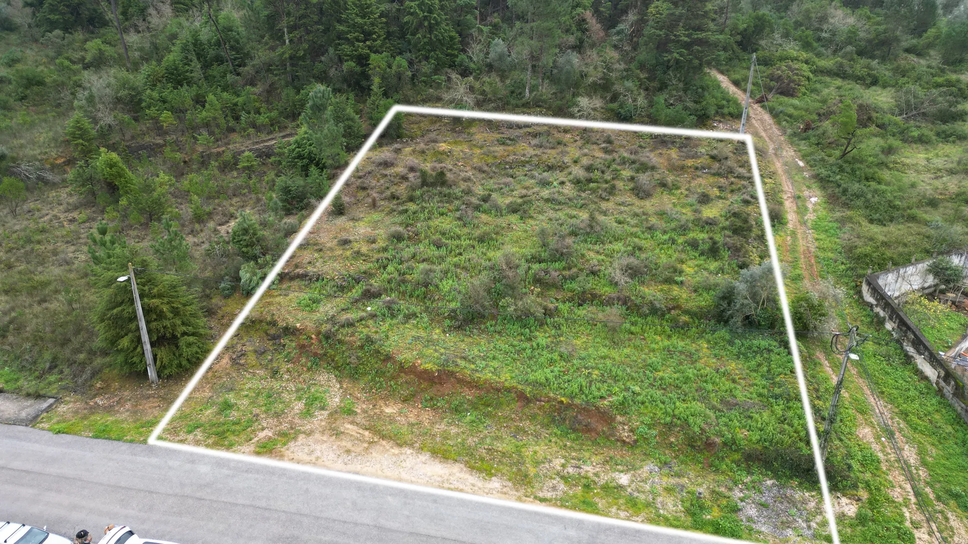 Terreno