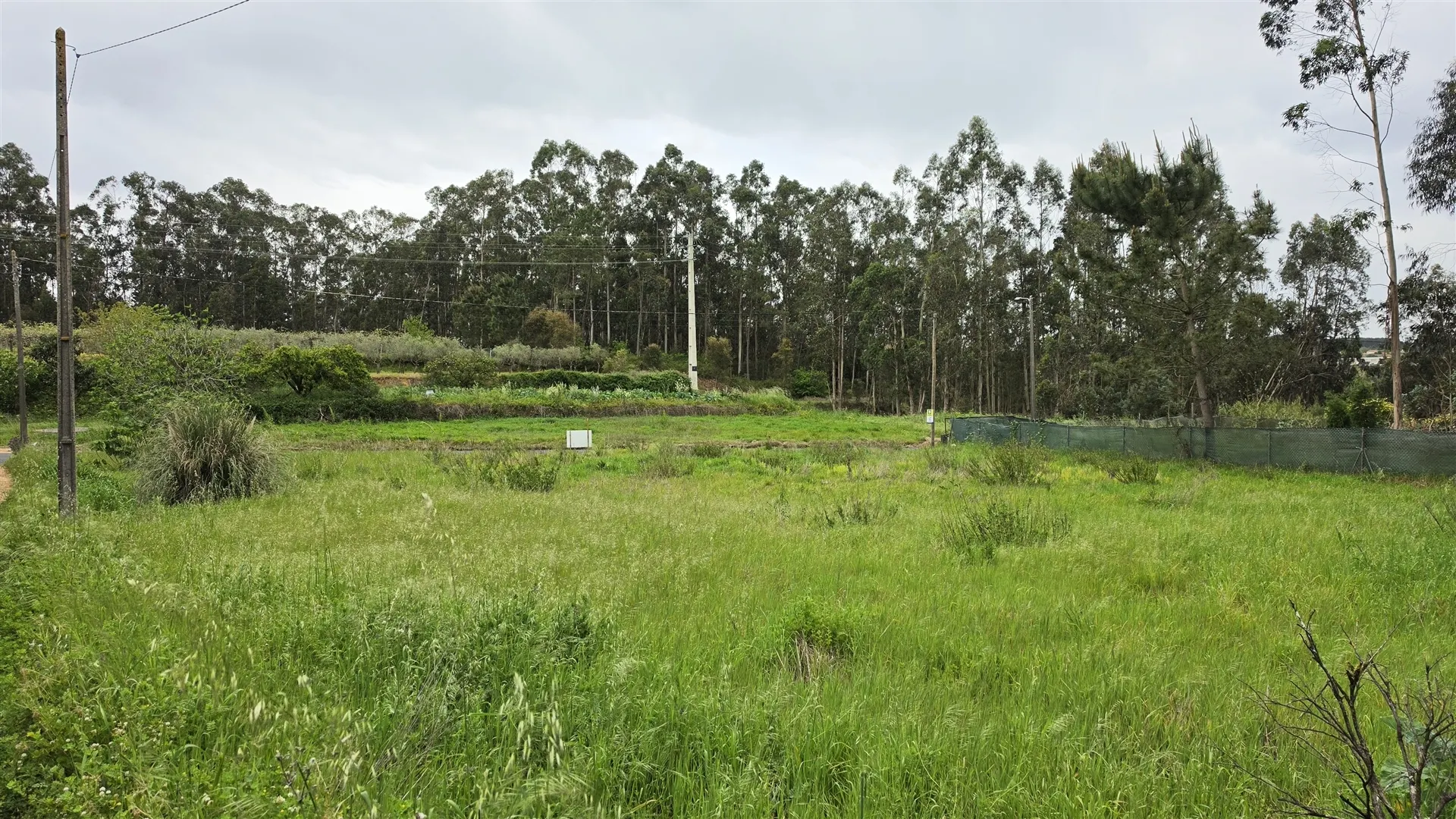 Terreno