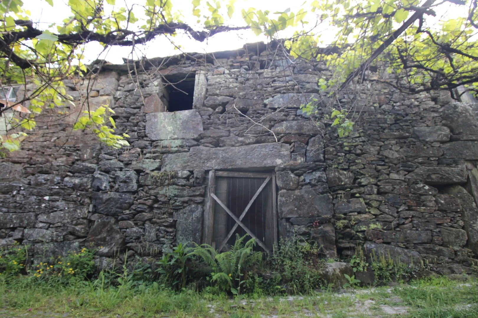 Moradia para Restaurar T2