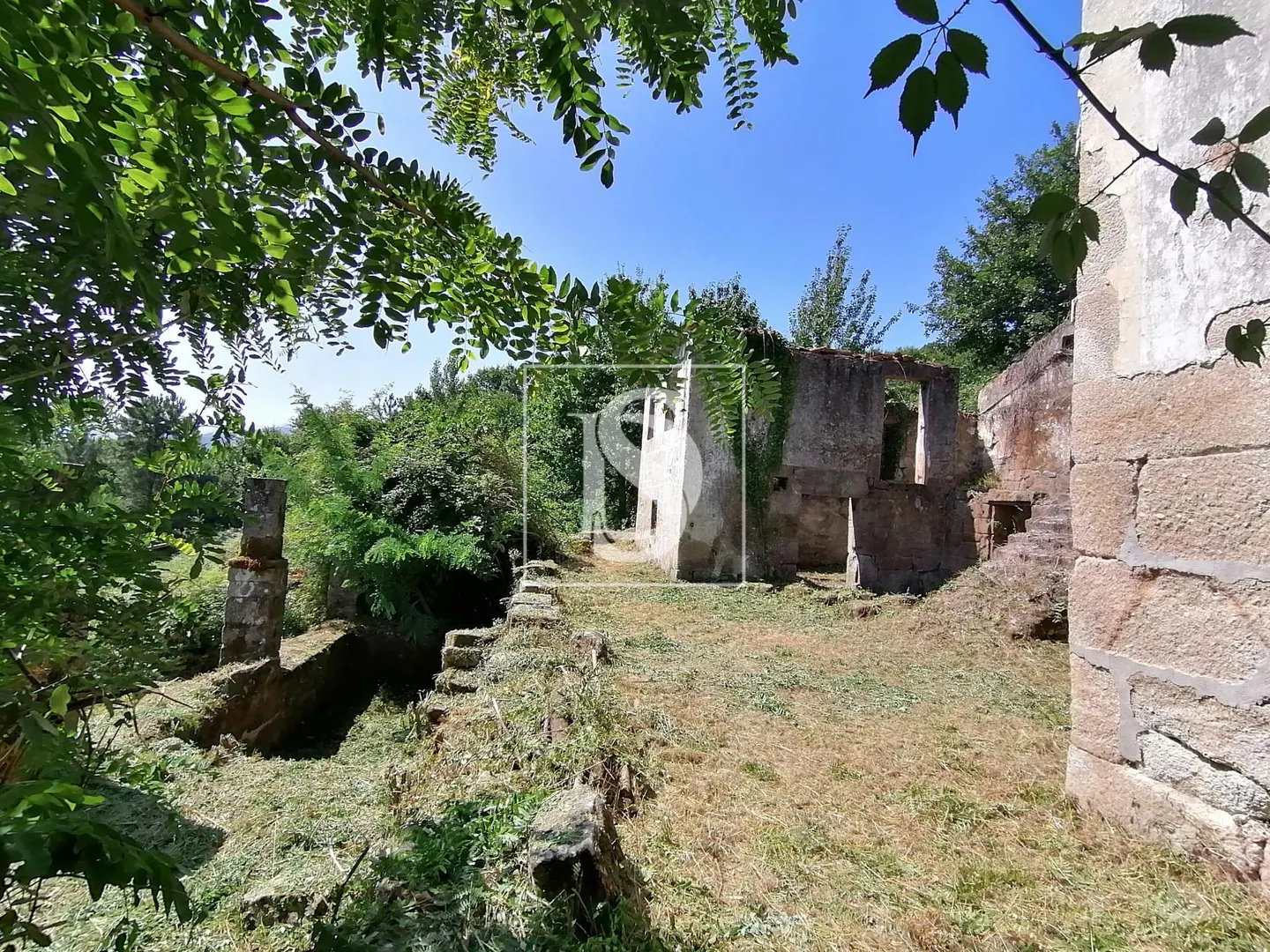 Quinta