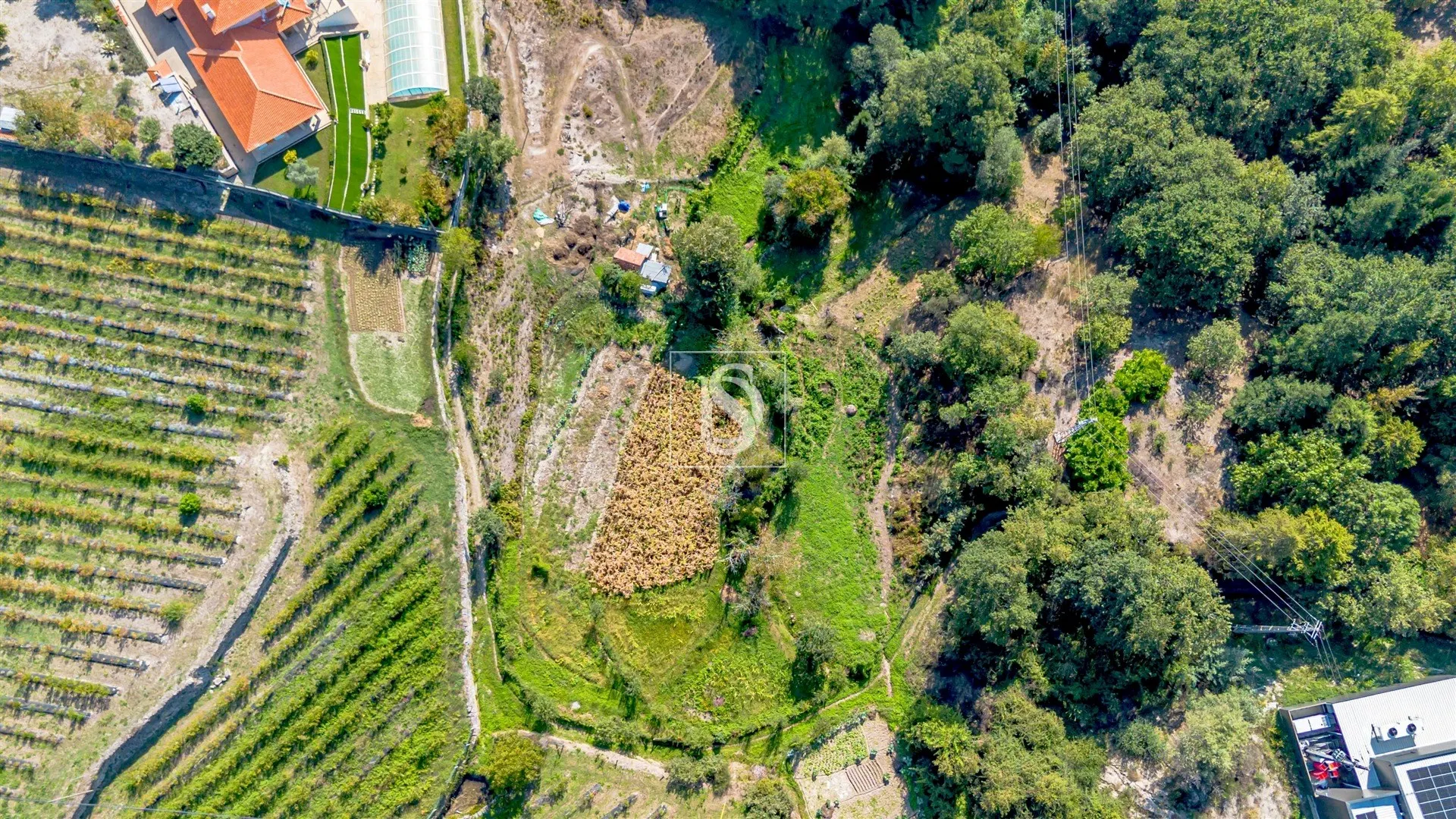 Terreno