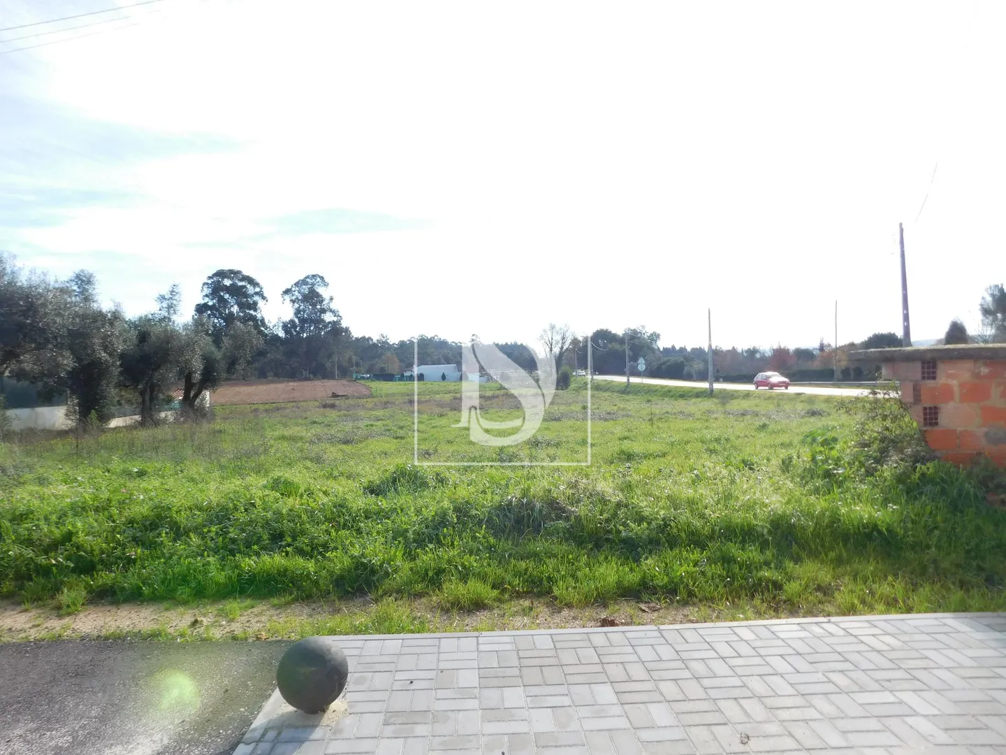 Terreno