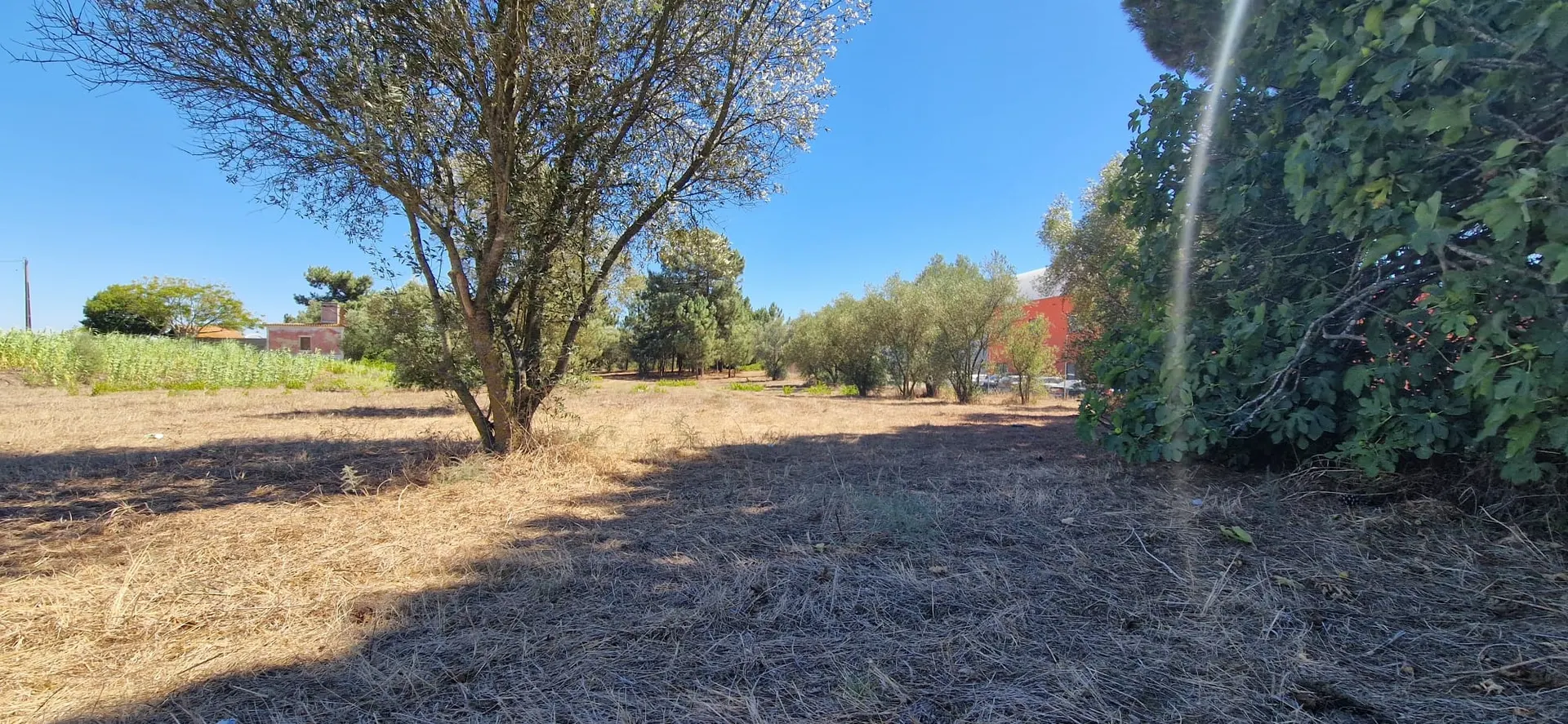 Terreno