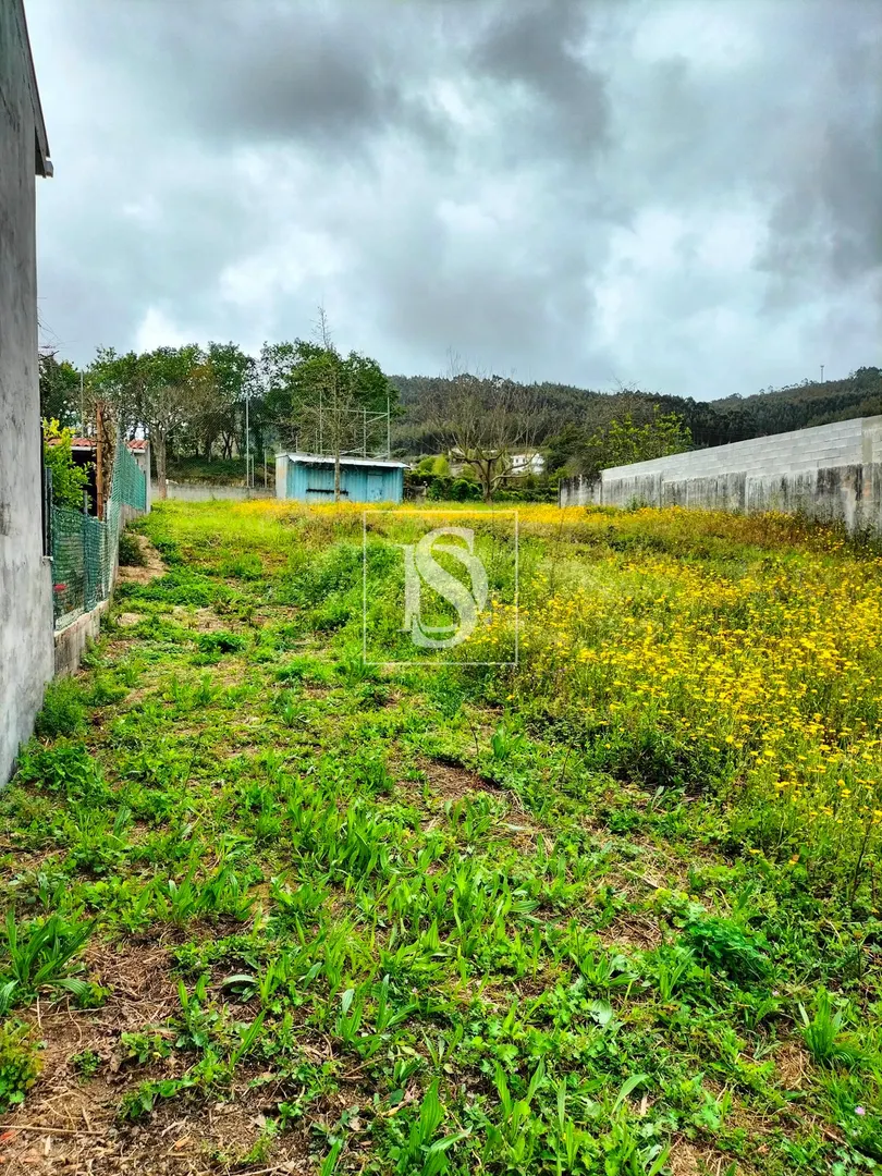 Terreno