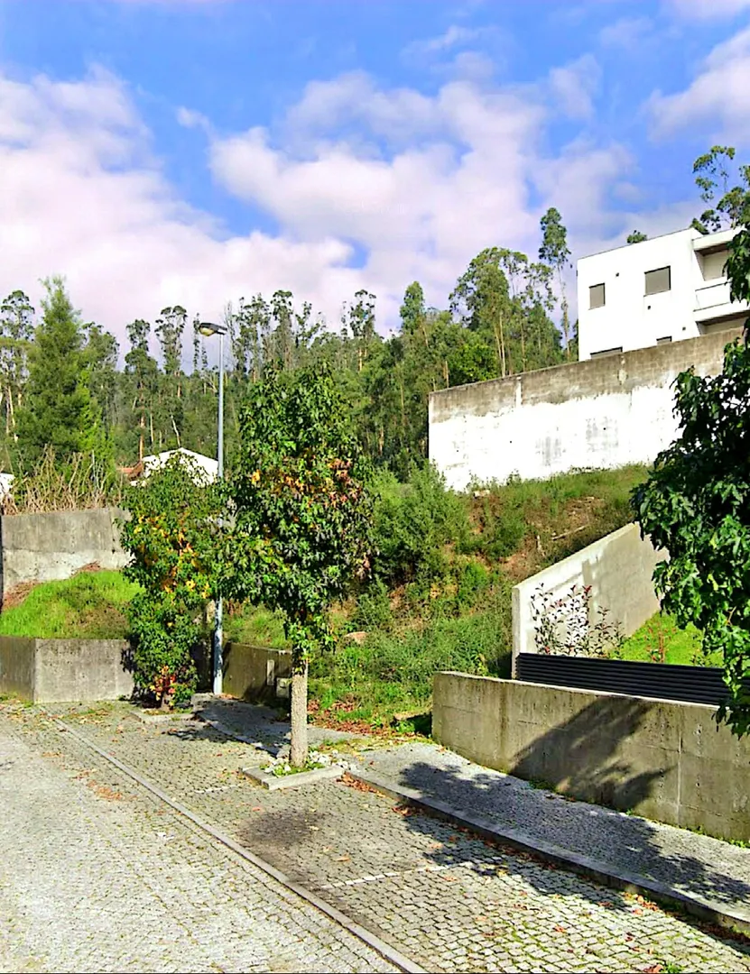 Terreno