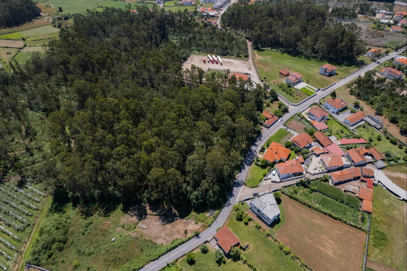 Terreno