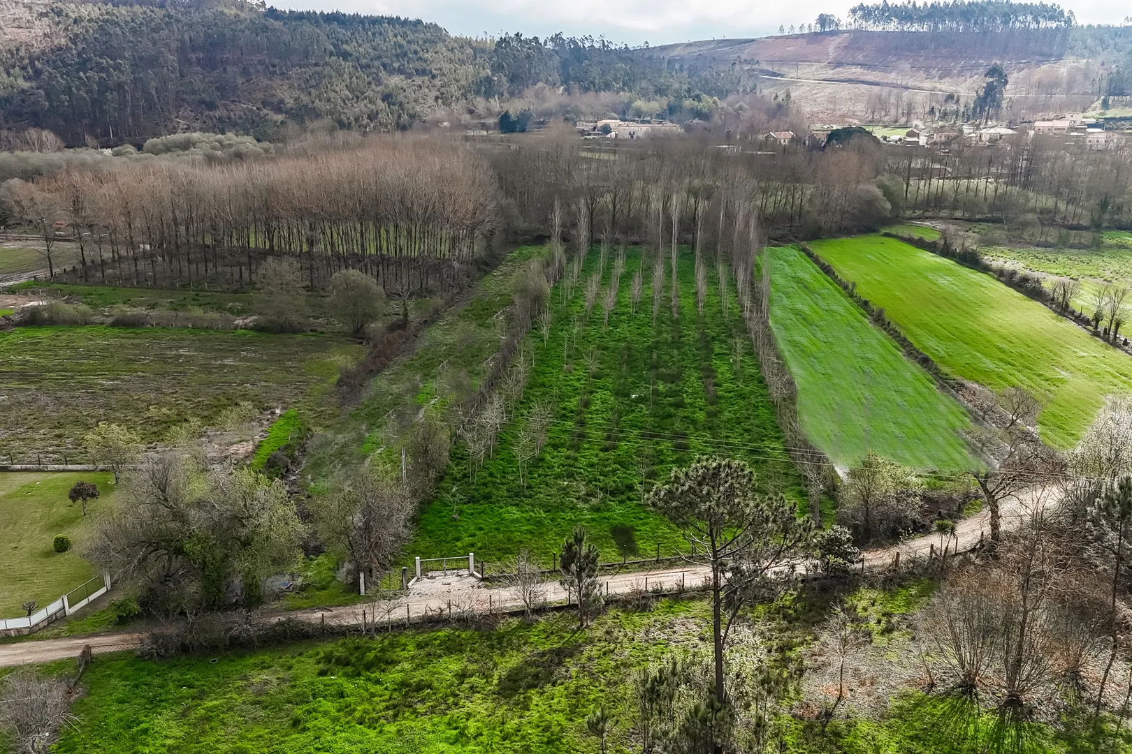 Terreno Rústico