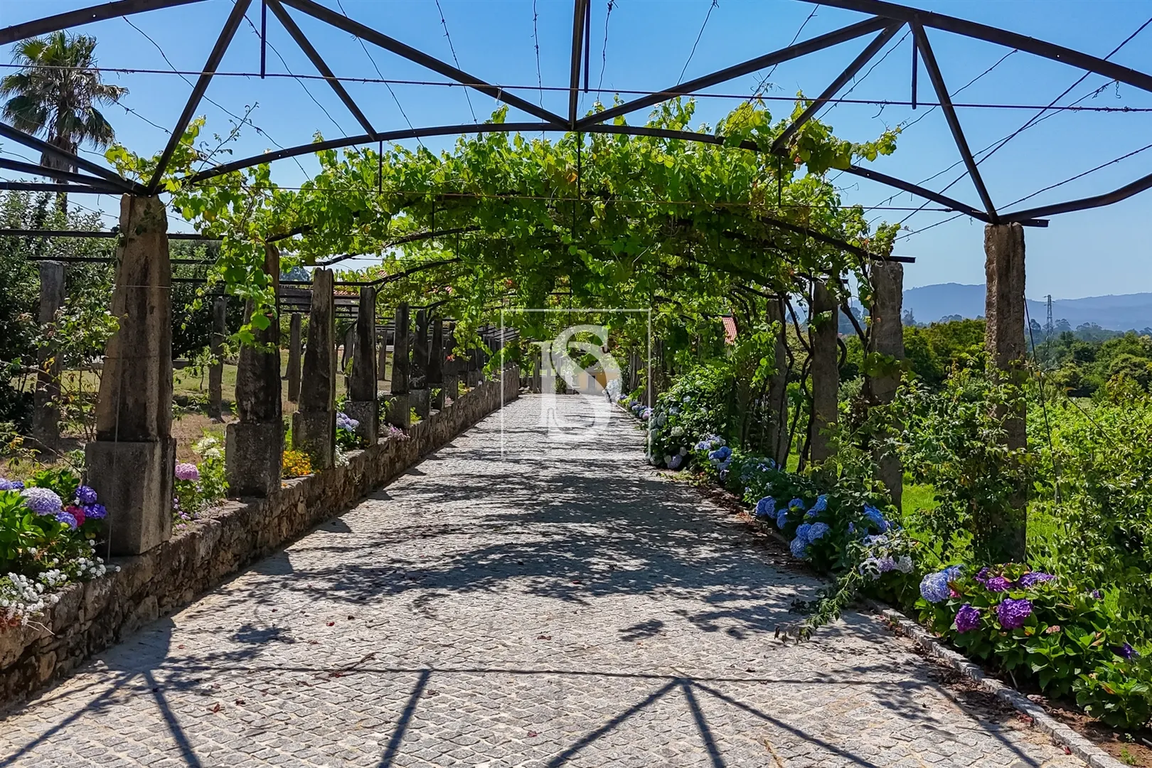 Quinta de Excelência no Coração do Minho com Produção Vinícola e de Castanha e com Várias Habitações