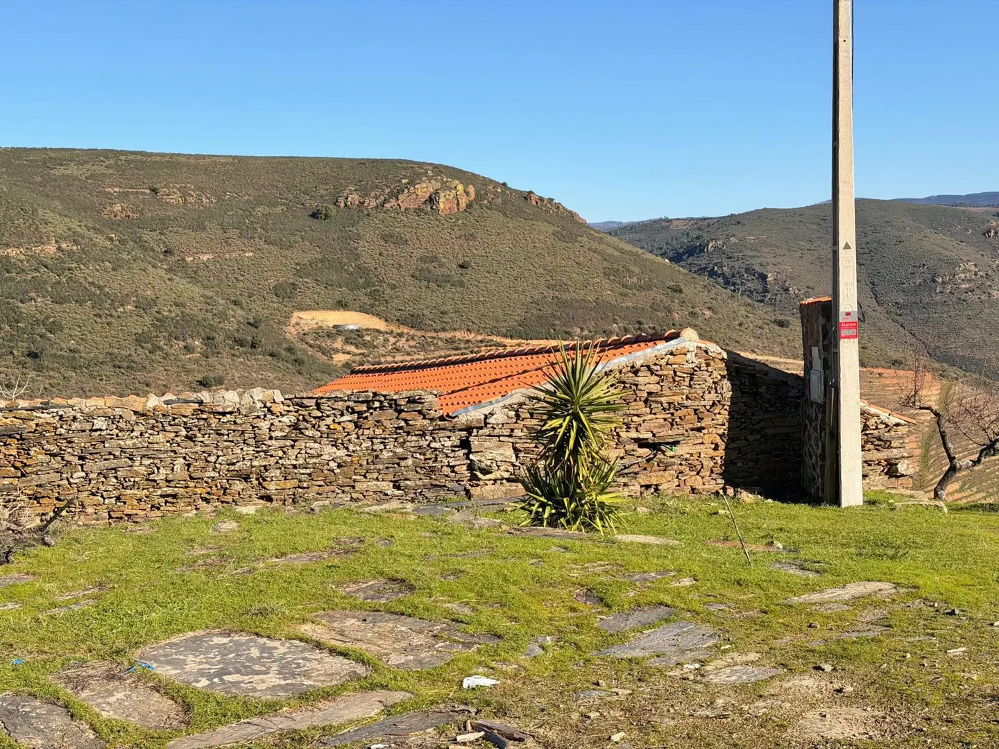 Quinta