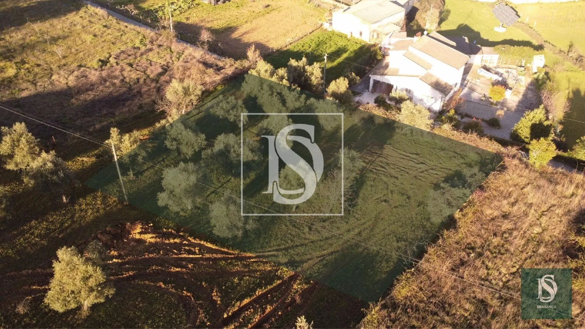 Terreno