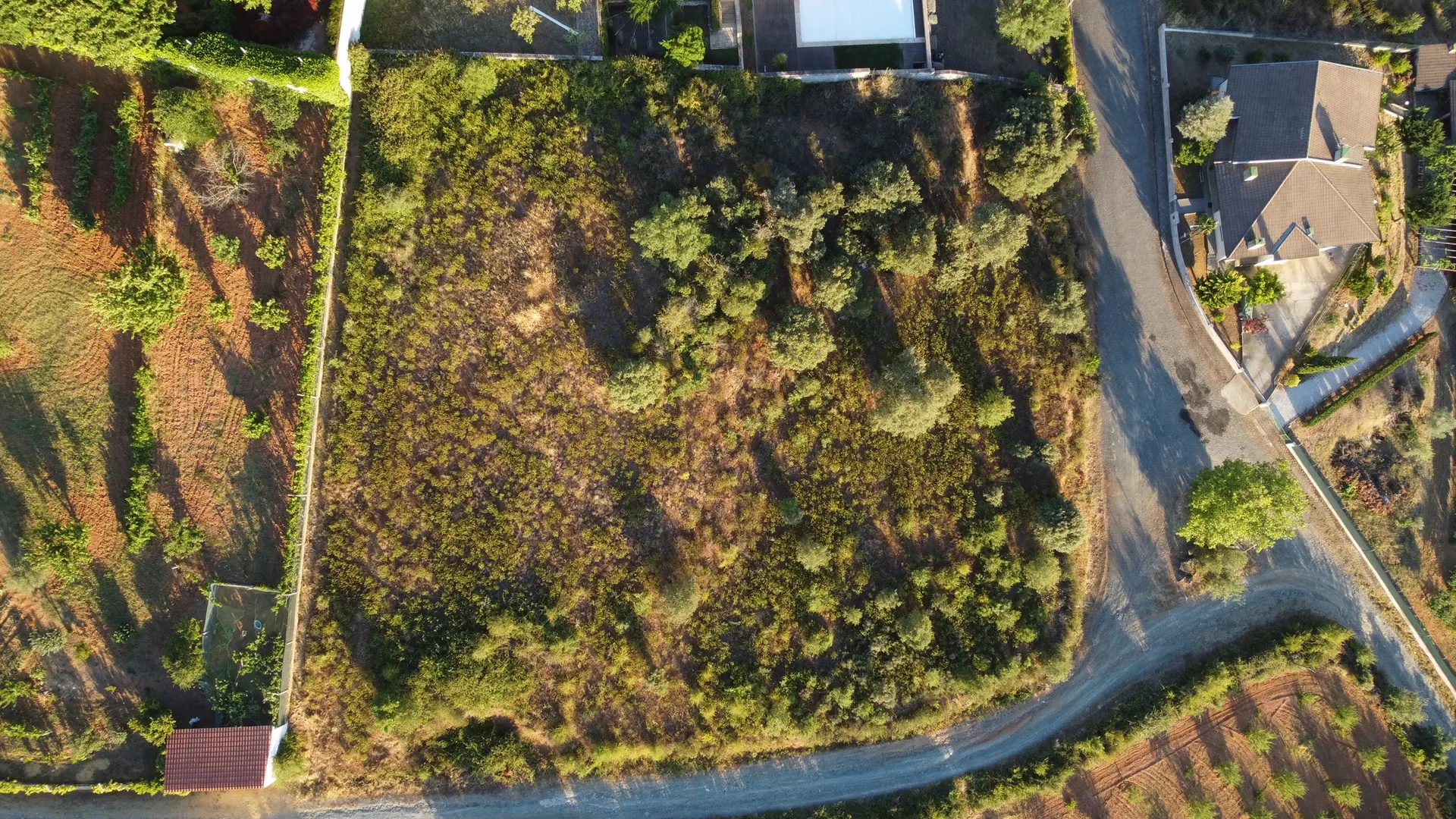 Terreno