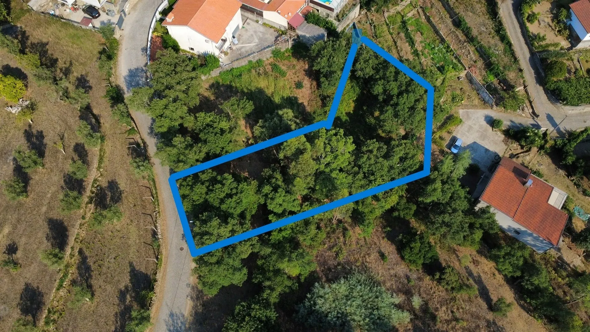 Terreno