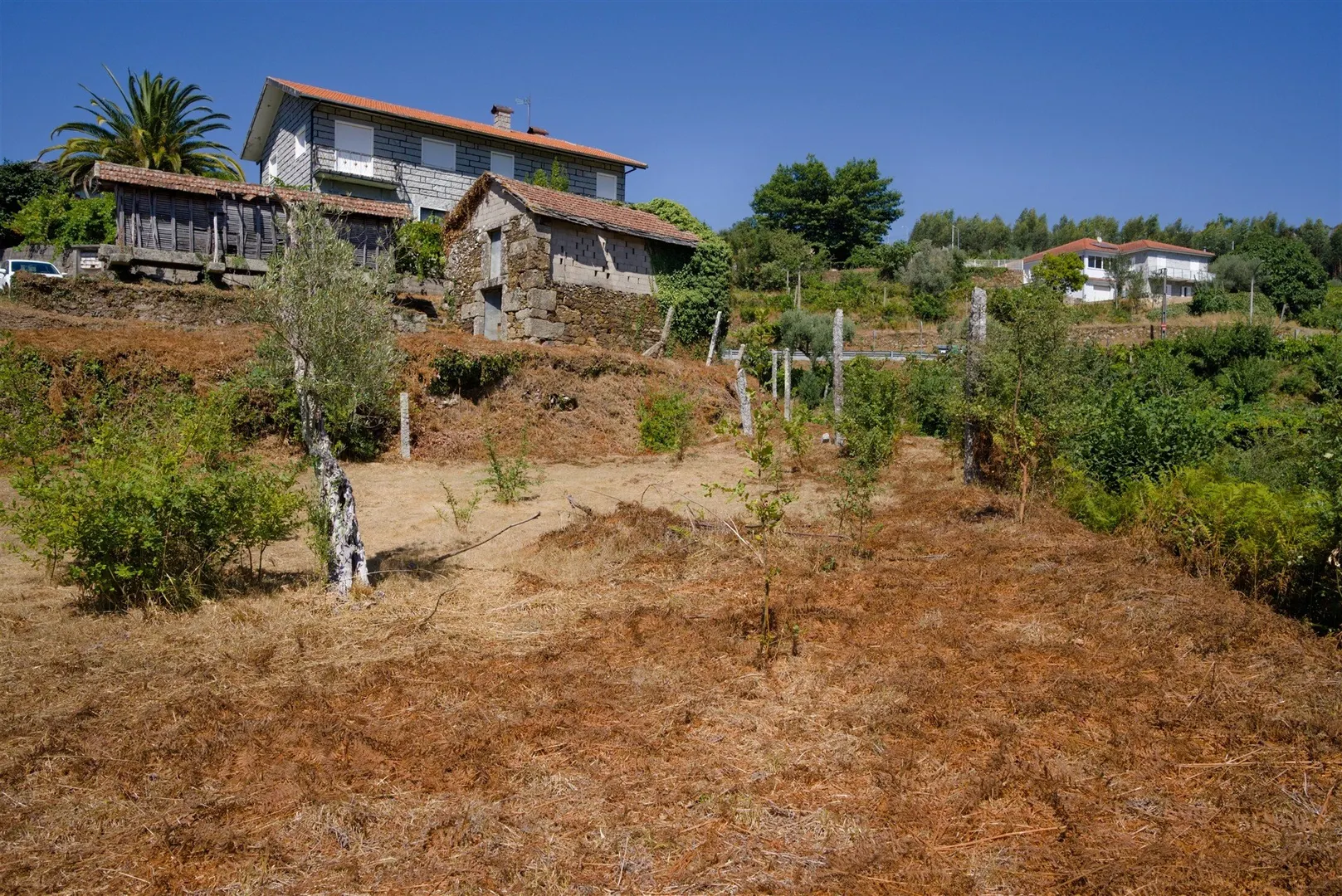 Terreno
