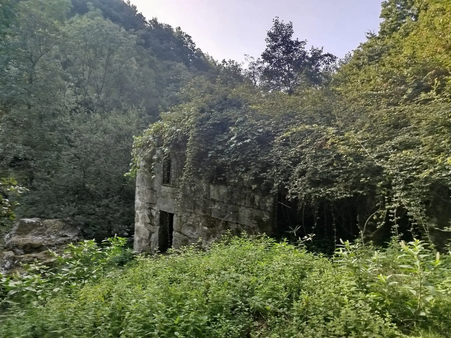 Quinta