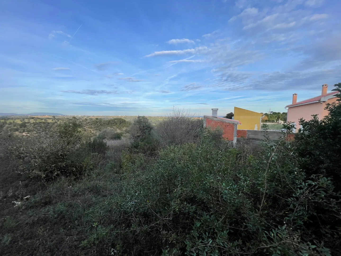 Terreno