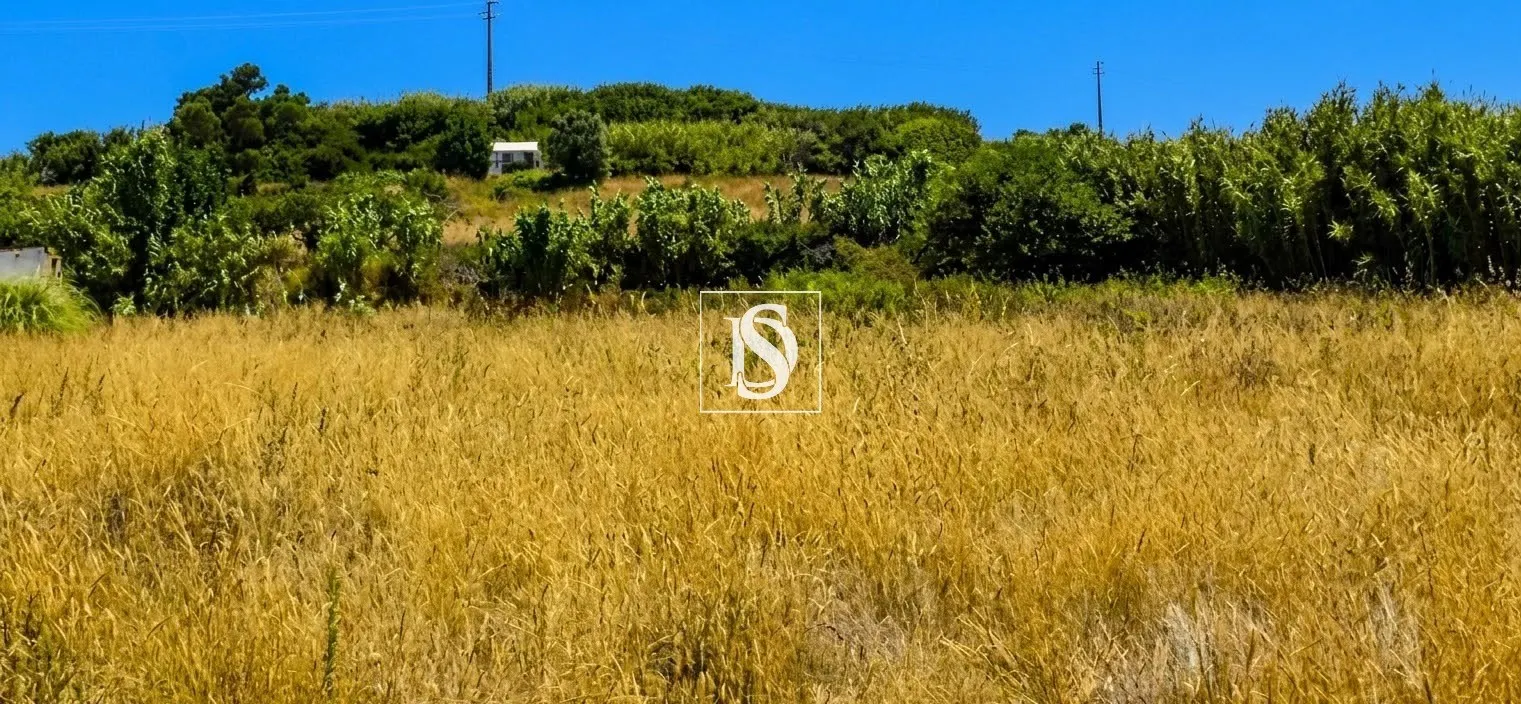 Terreno Venda