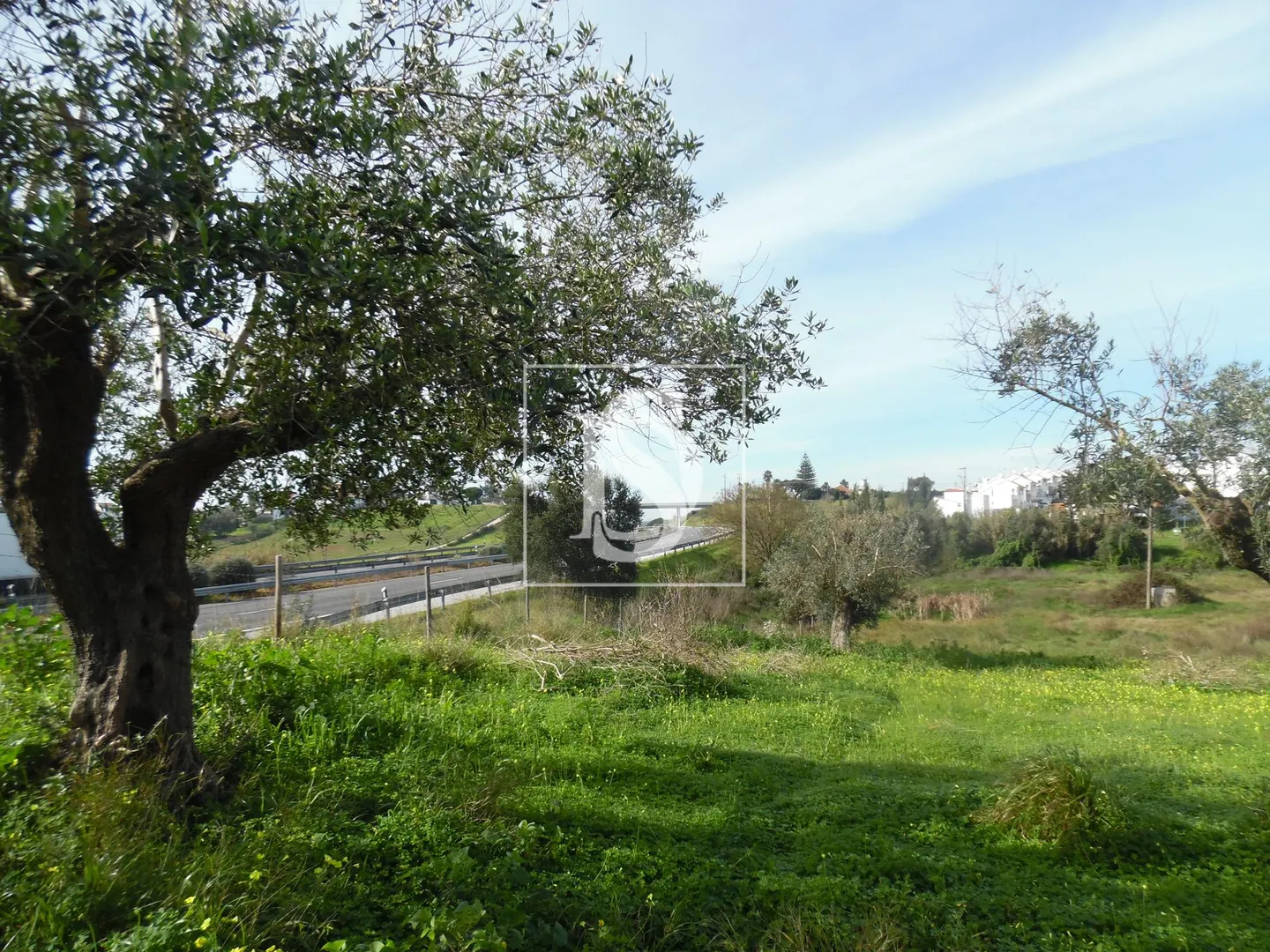 Terreno