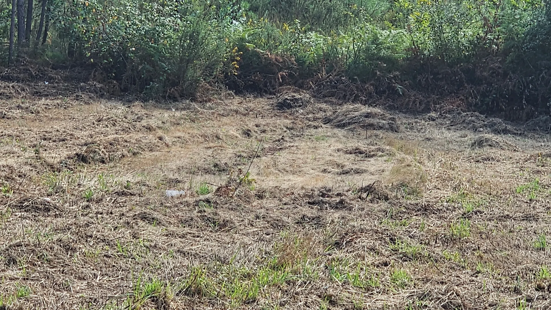 Terreno