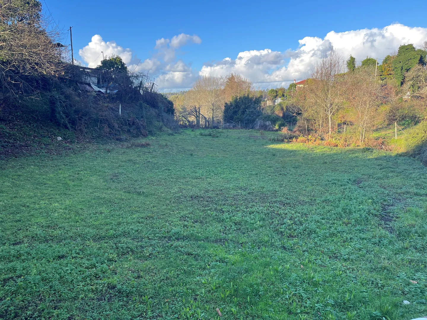 Terreno