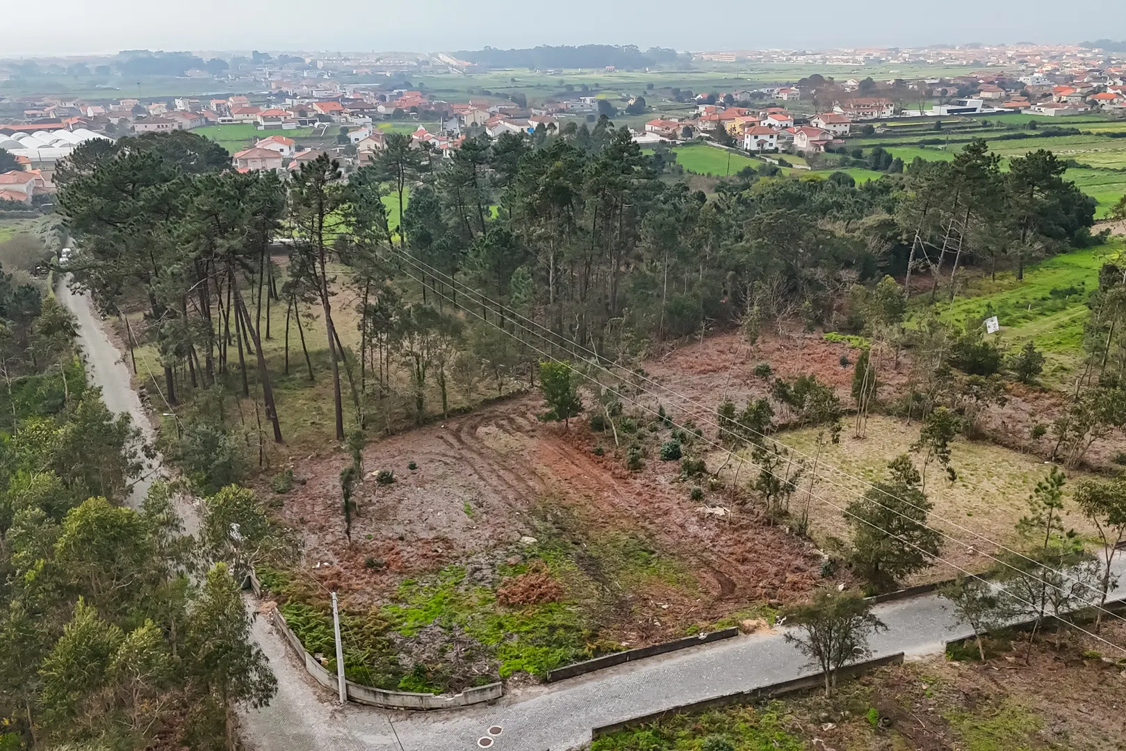Terreno