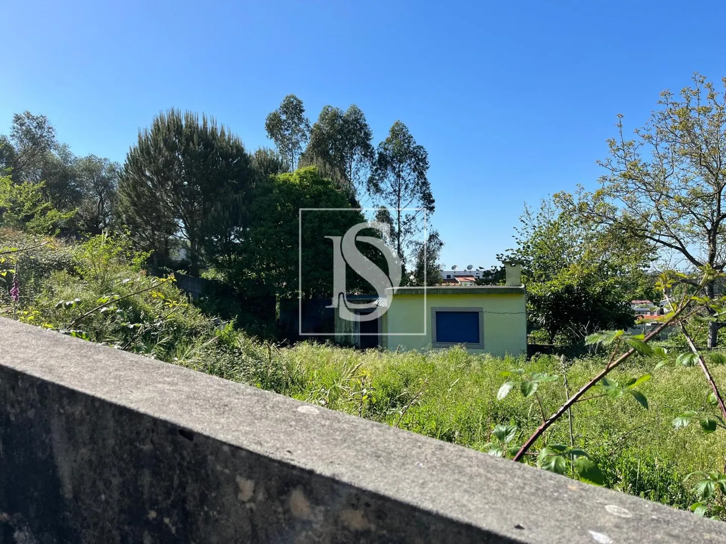 Terreno