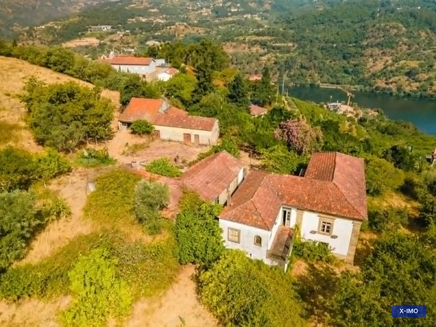 Quinta T7