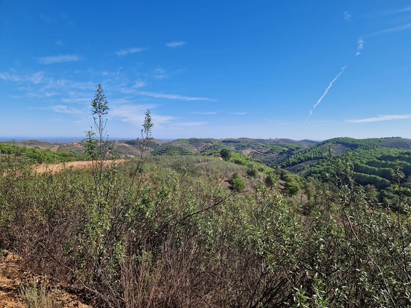 Terreno