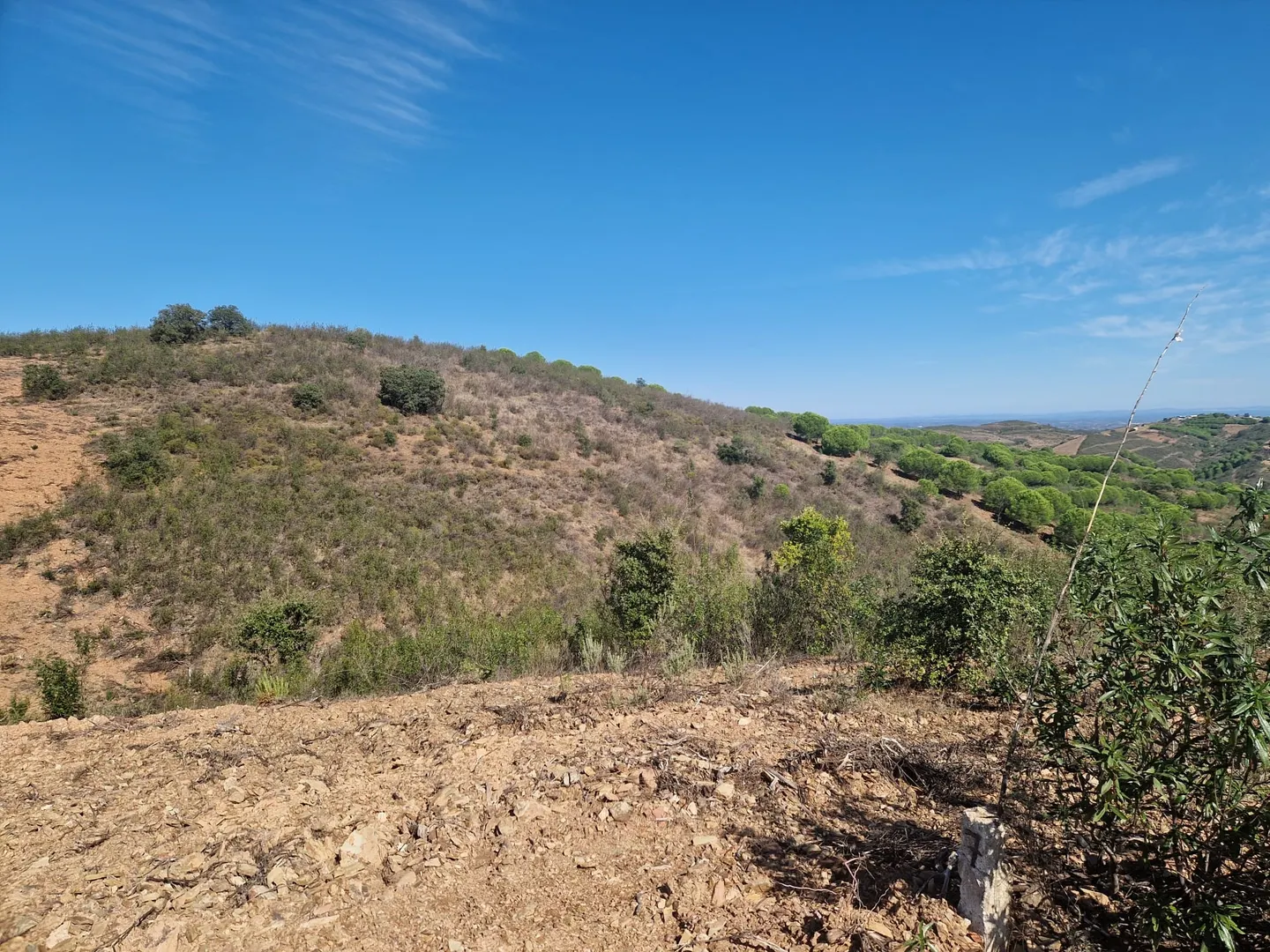 Terreno
