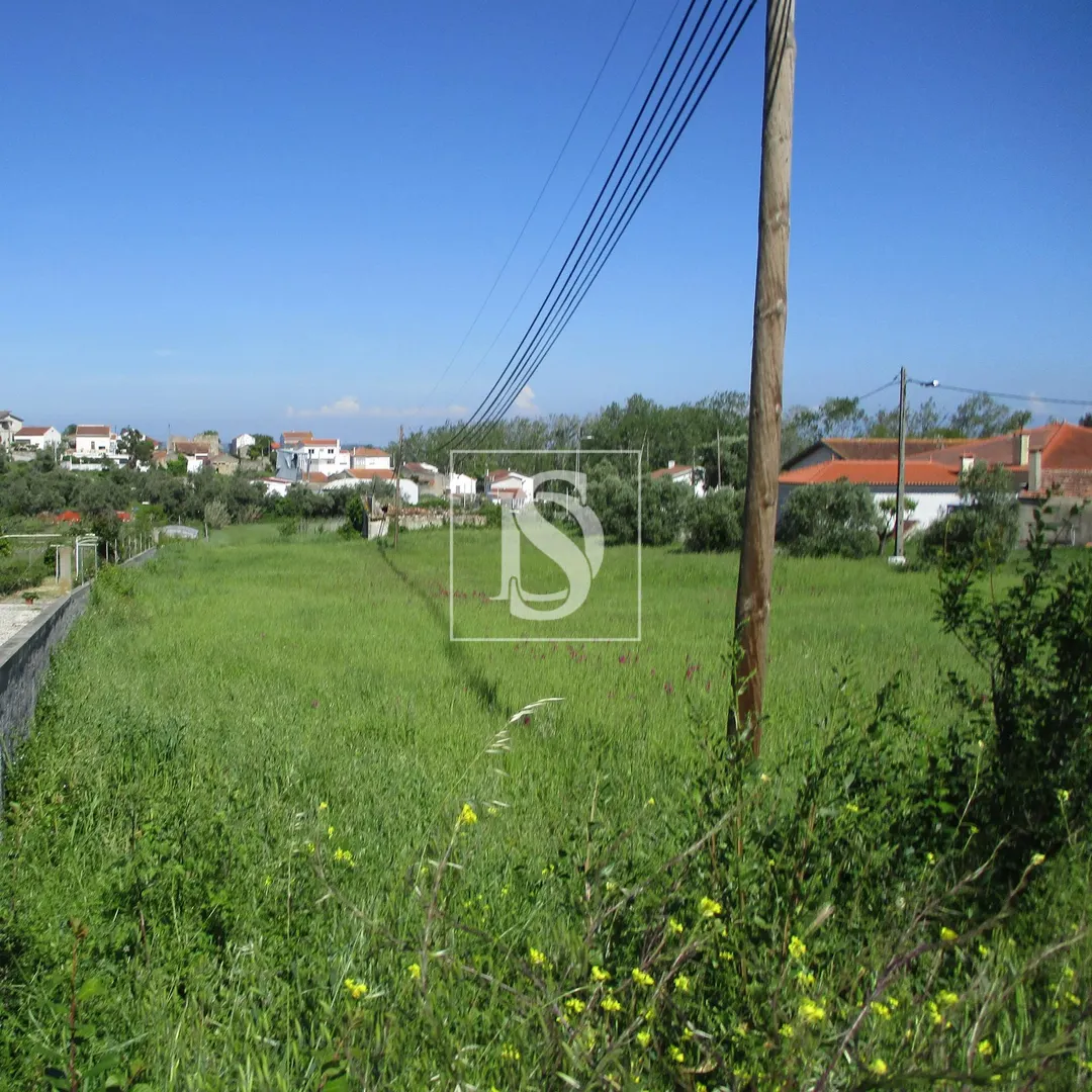 Terreno